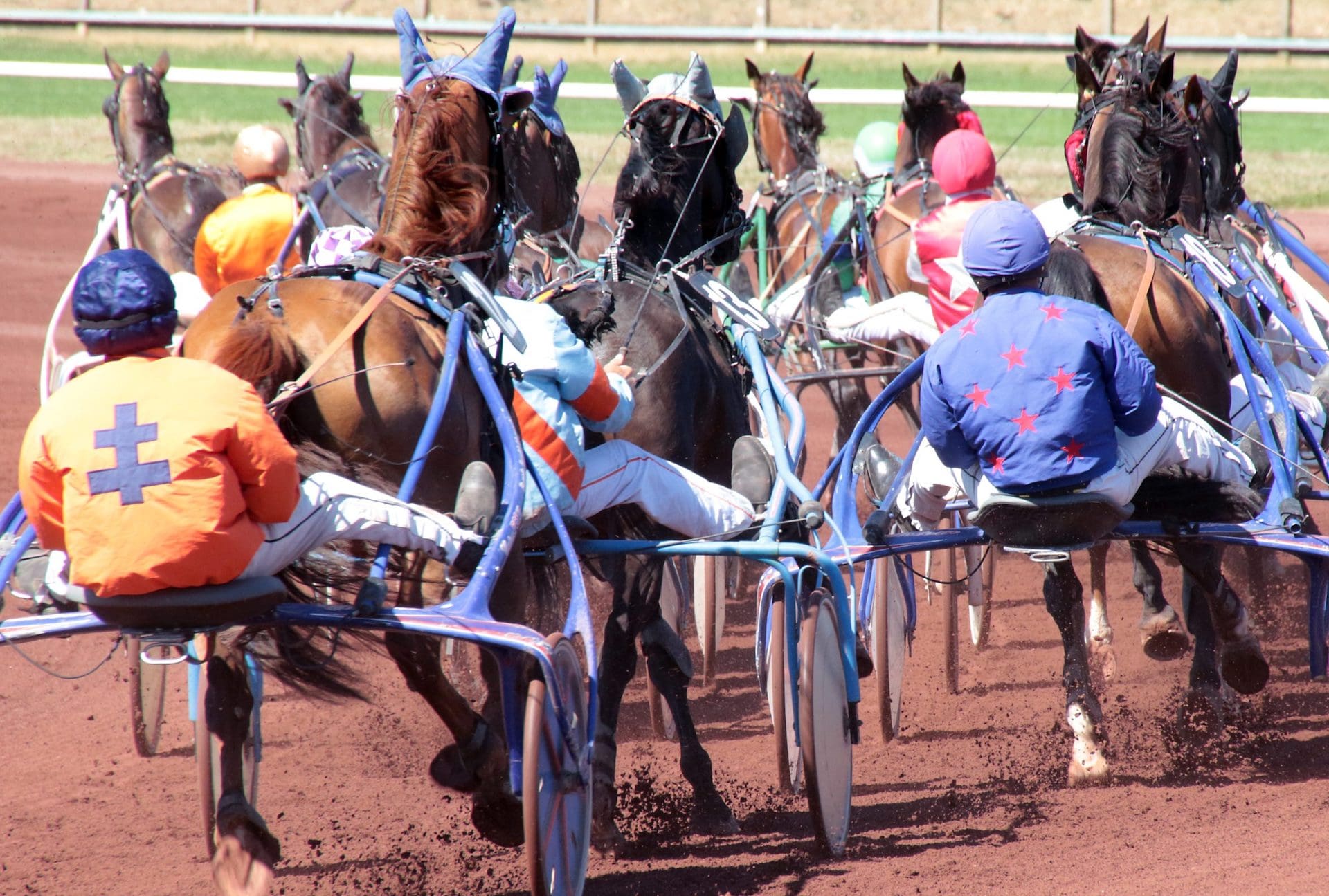 Course hippique à l’hippodrome de Parilly © Hippodrome de Parilly