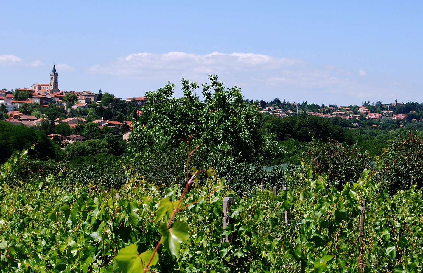 View of Dardilly © Ville de Darlilly