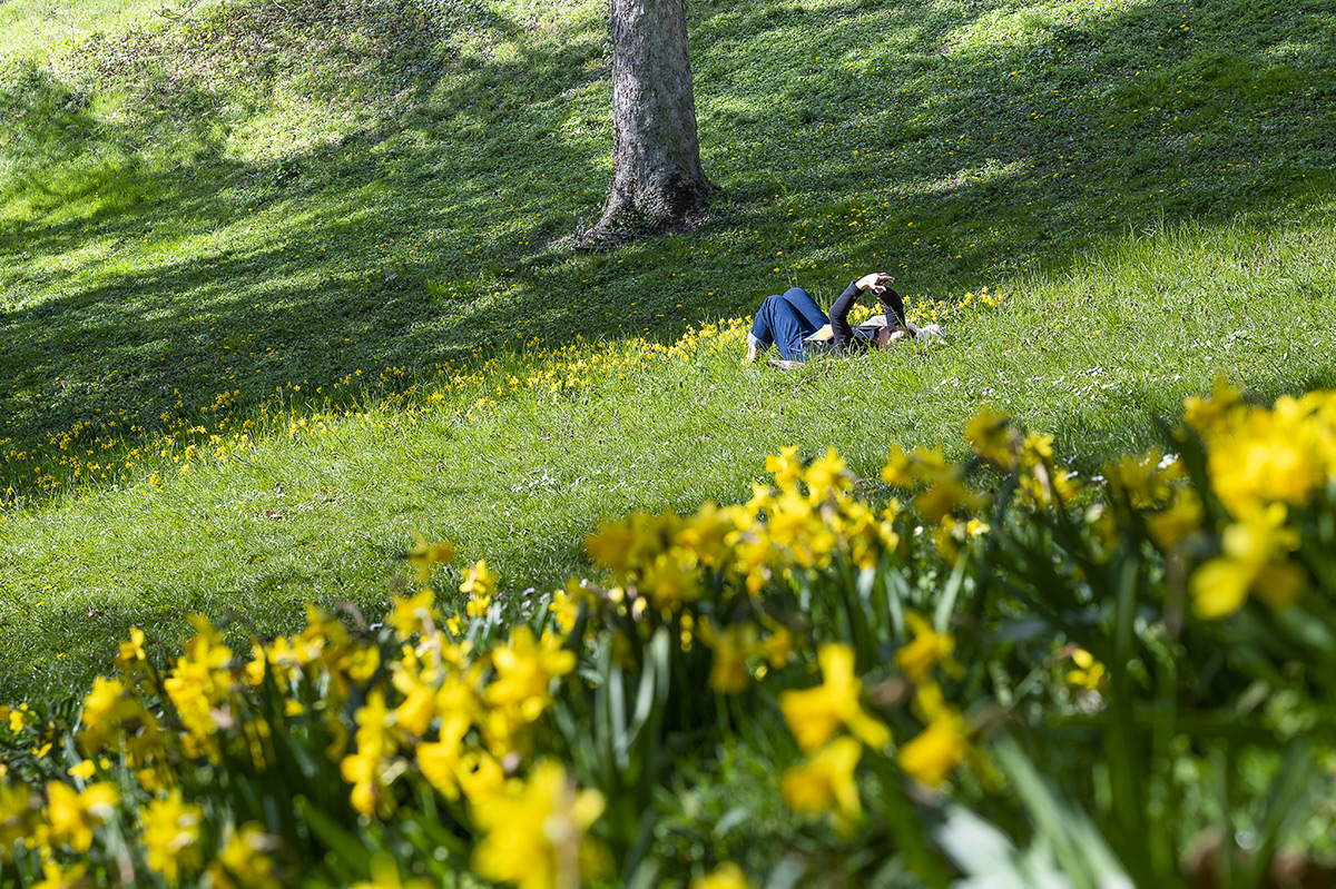 Parc de la Cerisaie © Thierry fournier / Métropole de Lyon