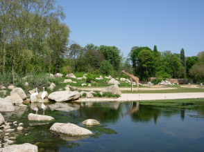 The African savanna in the zoo of Tête d'Or Park © Parc de la Tête d'Or