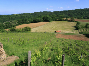 Poleymieux-au-Mont-d'Or © Laurence Vera - Métropole de Lyon