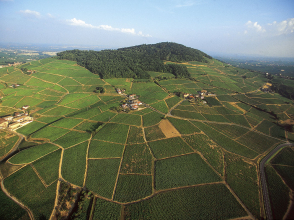Mont Brouilly Franck Lechenet Inter Beaujolais