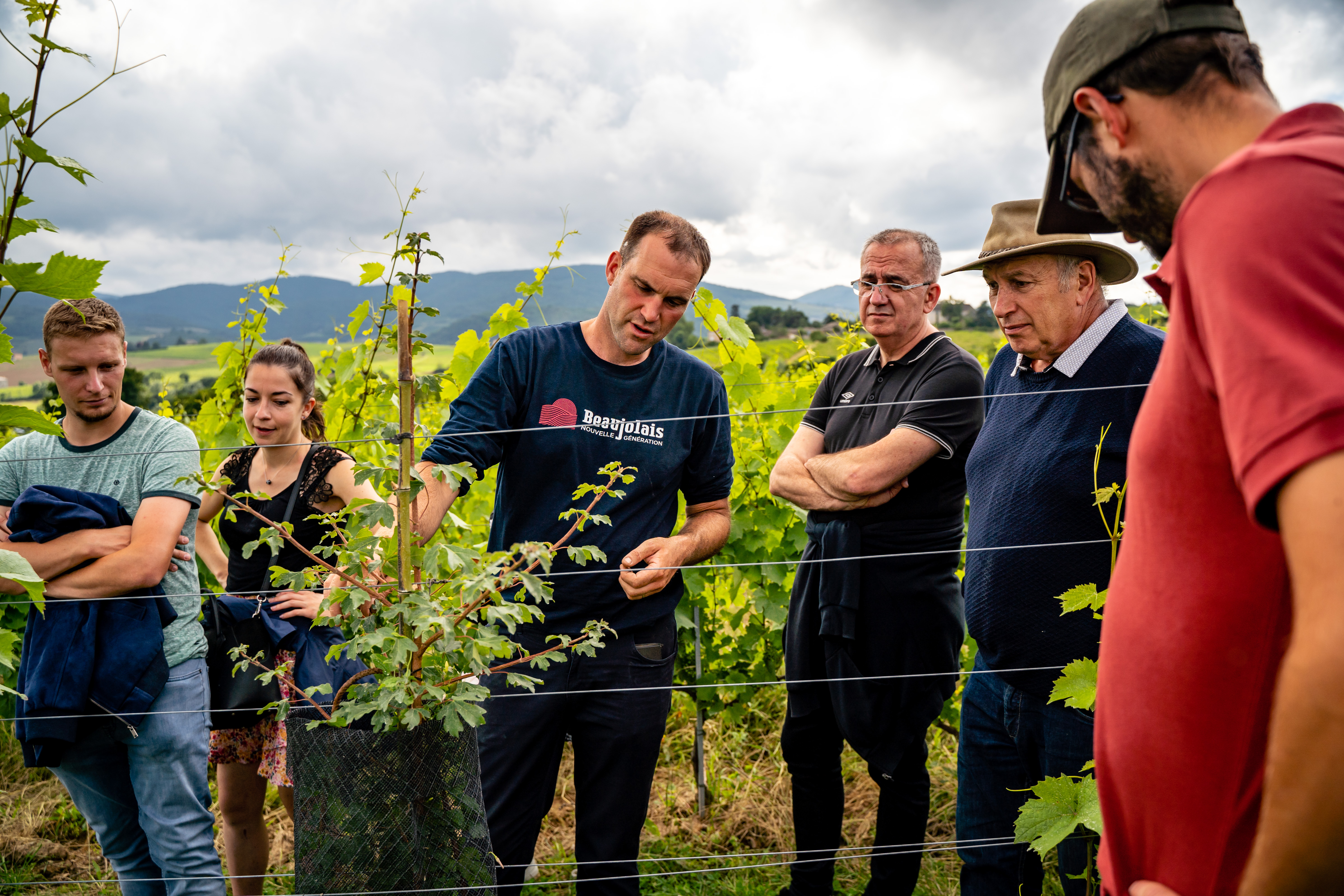 Frédéric Berne dans ses vignes du Château des Vergers © Loïc Terrier