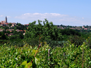 View of Dardilly © Ville de Darlilly