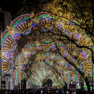 Artiste : Faniuolo / Photographe : &copy;Brice Robert